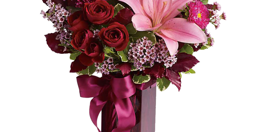 Sed blandit massa vel